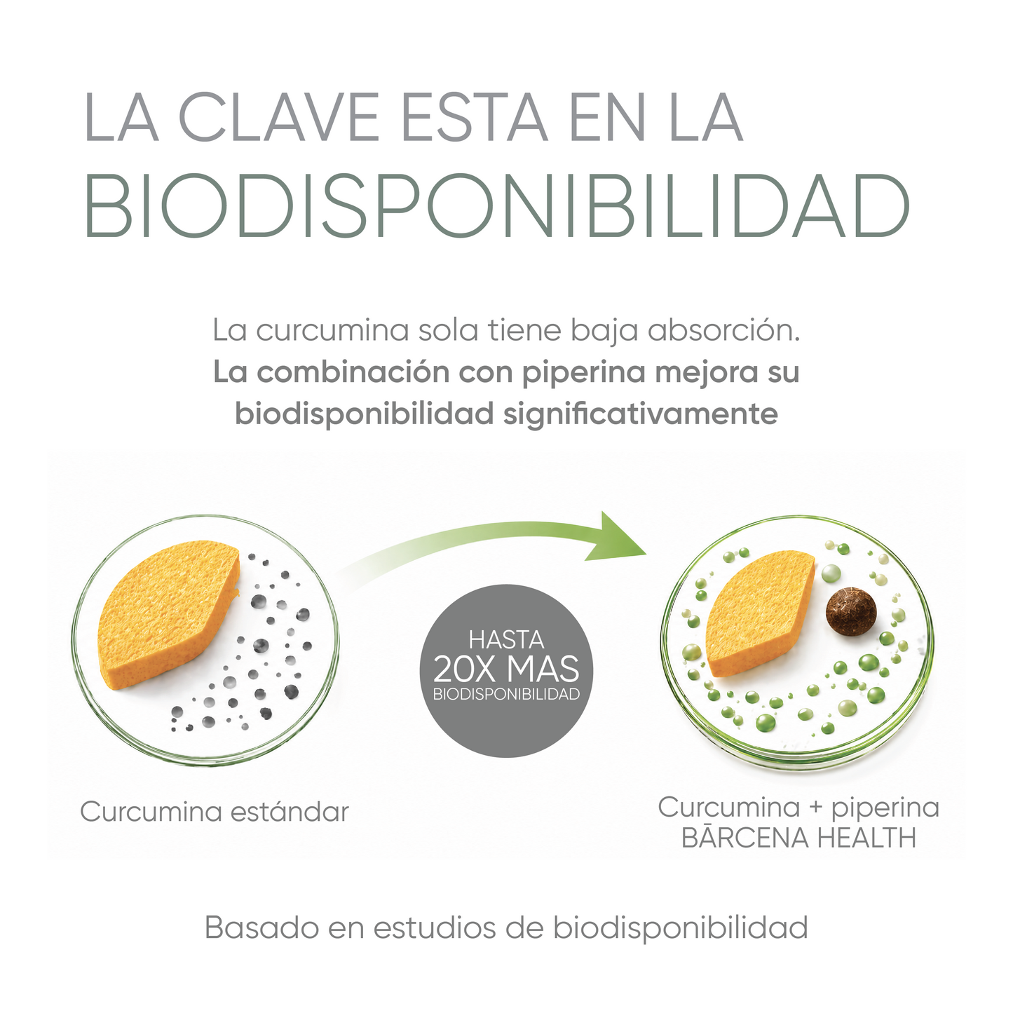 CÚRCUMA CON PIMIENTA PIPERINA