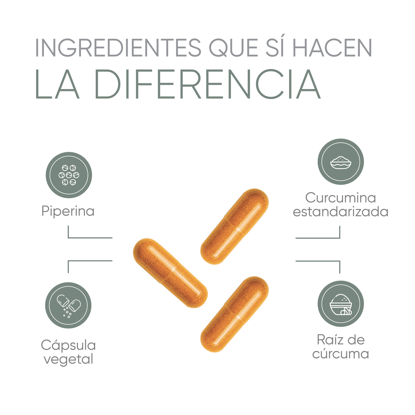 CÚRCUMA CON PIMIENTA PIPERINA