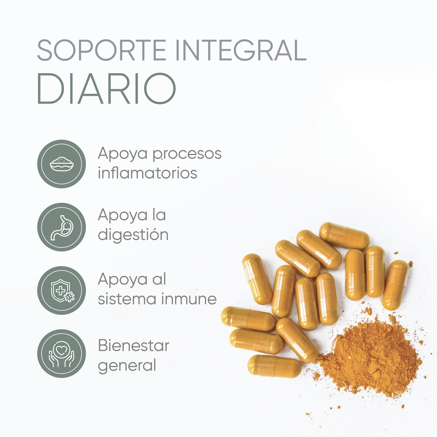 CÚRCUMA CON PIMIENTA PIPERINA